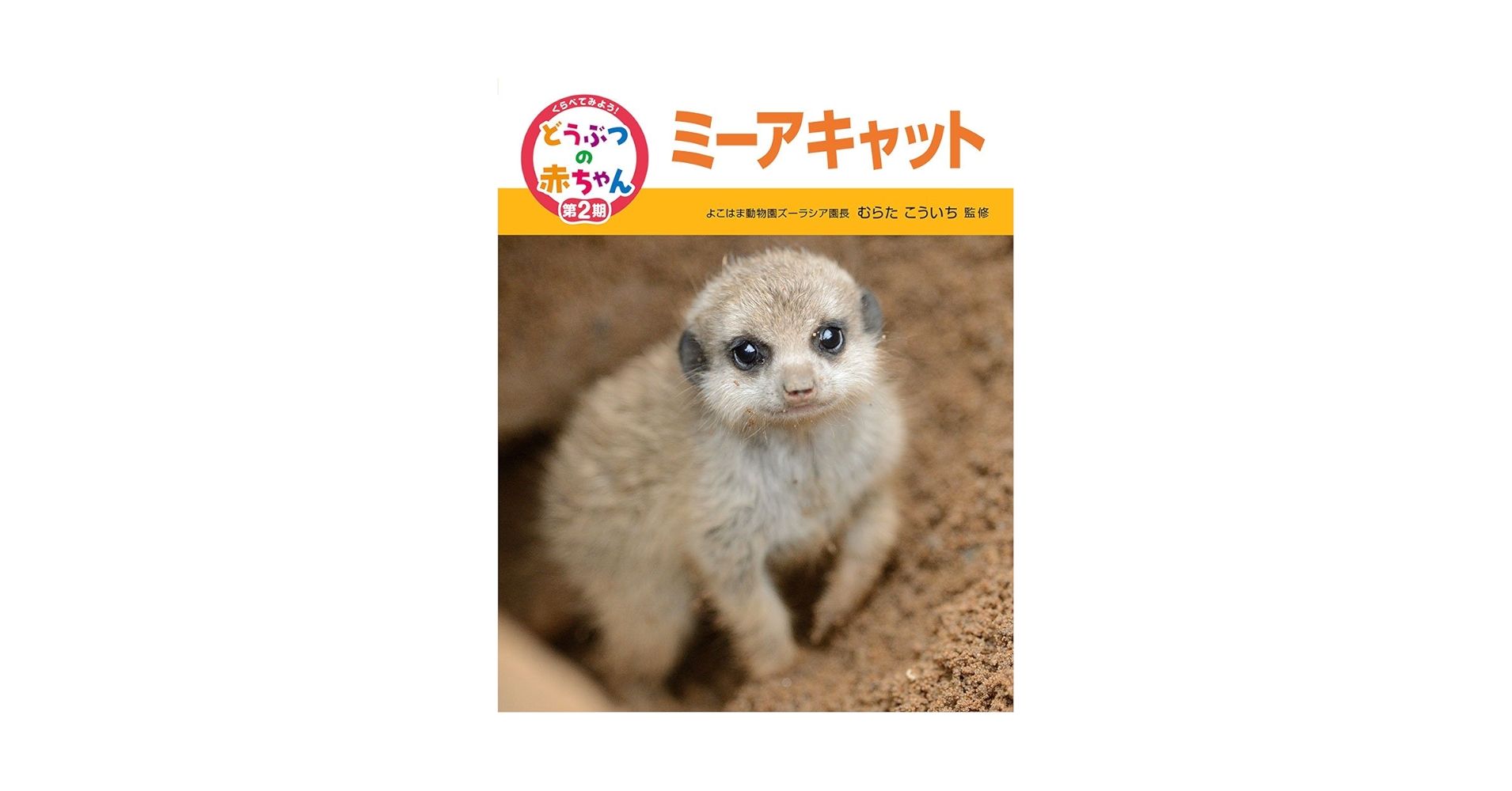 ミーアキャット】甘えん坊のもなか ミーアキャット(植毛) 赤ずきん